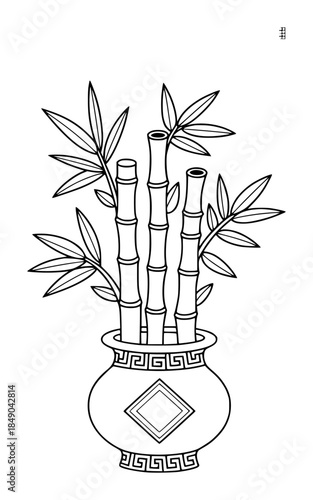 Lucky bamboo plant in decorative vase decoration ornamental