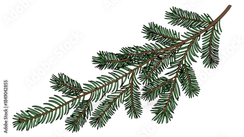 Nature Illustration, Evergreen Branch, Botanical Artwork, Artistic Display, Vibrant Color, Detailed View, Plant Concept
