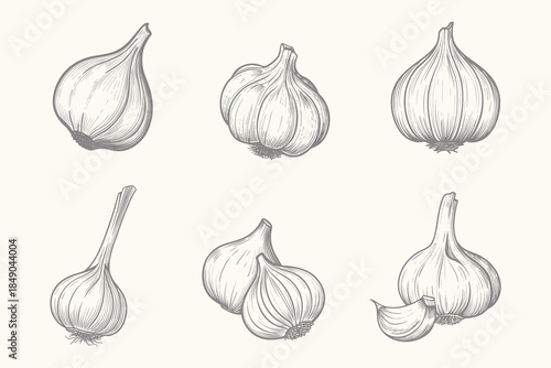 Retro garlic symbol collection set collection. Vintage style garlic bulb and cloves vector illustration. Ideal for culinary art, recipes, food packaging, and botanical designs.