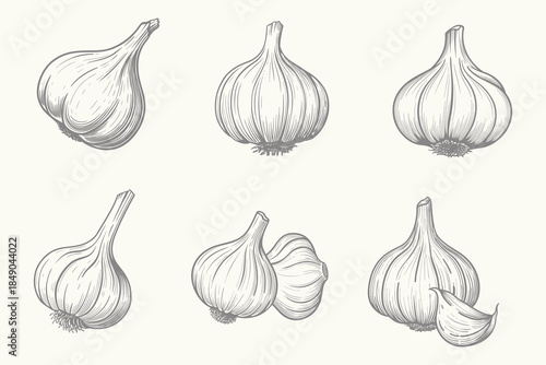 Retro garlic symbol collection set collection. Vintage style garlic bulb and cloves vector illustration. Ideal for culinary art, recipes, food packaging, and botanical designs.