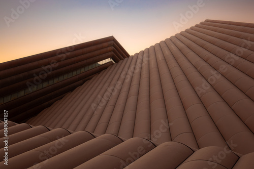 Abstract View of Traditional Roof Tiles at Sunset
