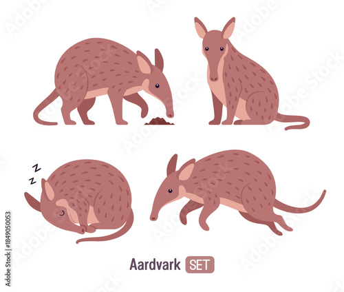 Aardvark burrowing mammal cute animal group set. Saharan African tube teeth Earth pig, funny friendly creature, zoo, wild life. Vector flat style cartoon illustration, Zoology and Biology study