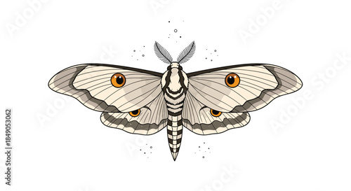 Vivid atlas moth spreads pale wings with bold brown bands and orange eye spots creating a striking symmetrical display in mid air.