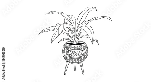 Decorative potted plant with long arching leaves sits in a patterned round tripod planter creating a stylish rustic indoor garden focal point.