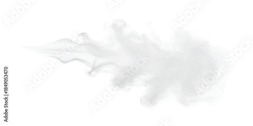 A wispy plume of white smoke or steam flowing across a white background