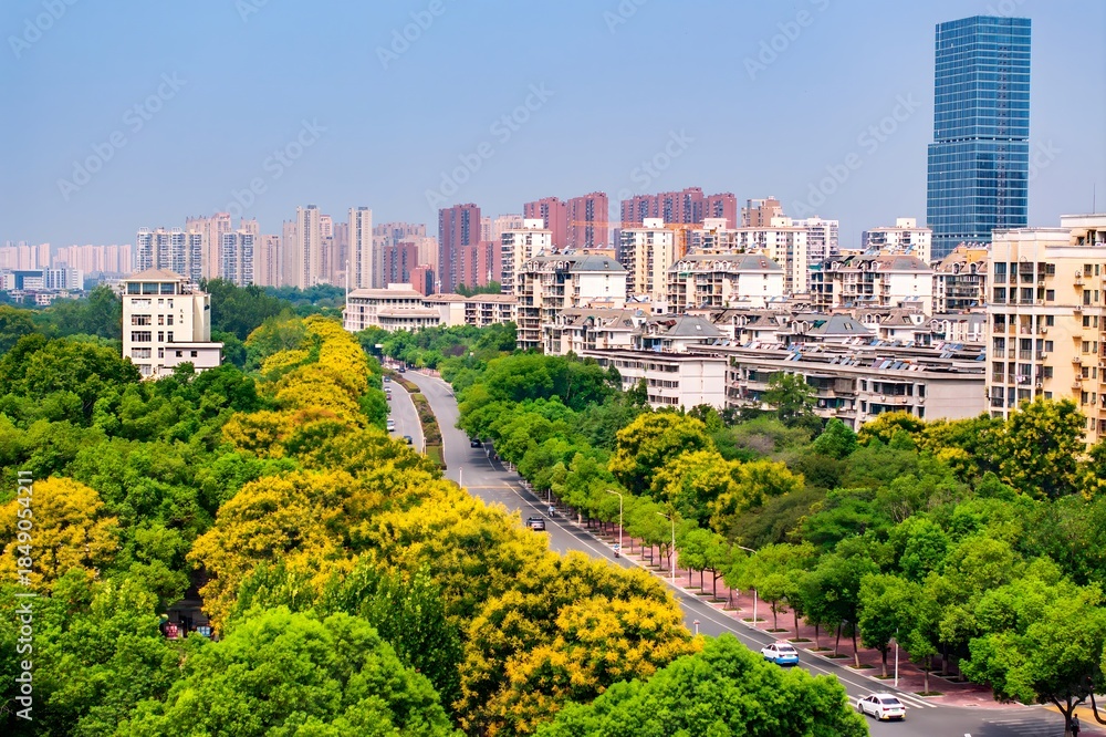 Fototapeta premium Huazhong University Campus with Yellow Blooms and Wuhan Skyline