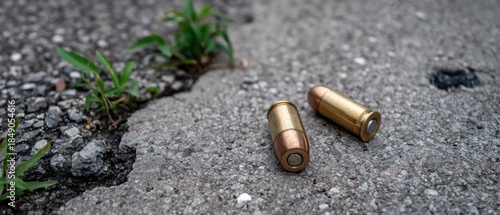 Fototapeta Naklejka Na Ścianę i Meble -  Brass gun cartridges and grass grow from cracks in gray asphalt captured in close-up detail on a city street