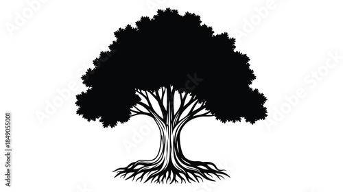 Detailed black and white illustration of a full mature tree with visible roots