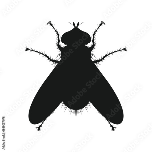 Fly silhouette logo. Black fly icon. Flat design illustration
