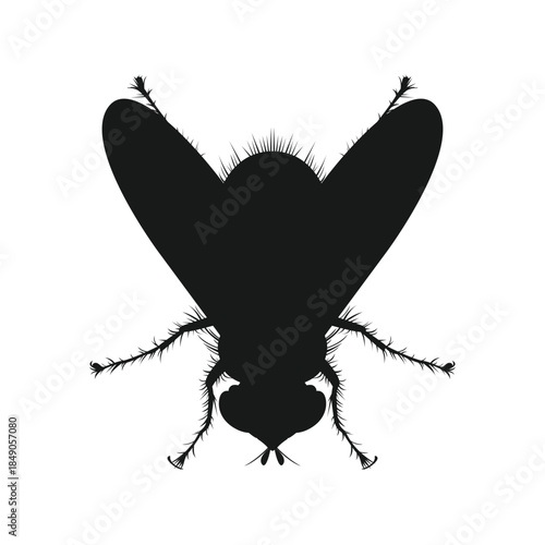 Fly silhouette logo. Black fly icon. Flat design illustration