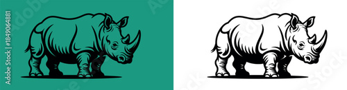 Rhinoceros Illustrations in Green and White