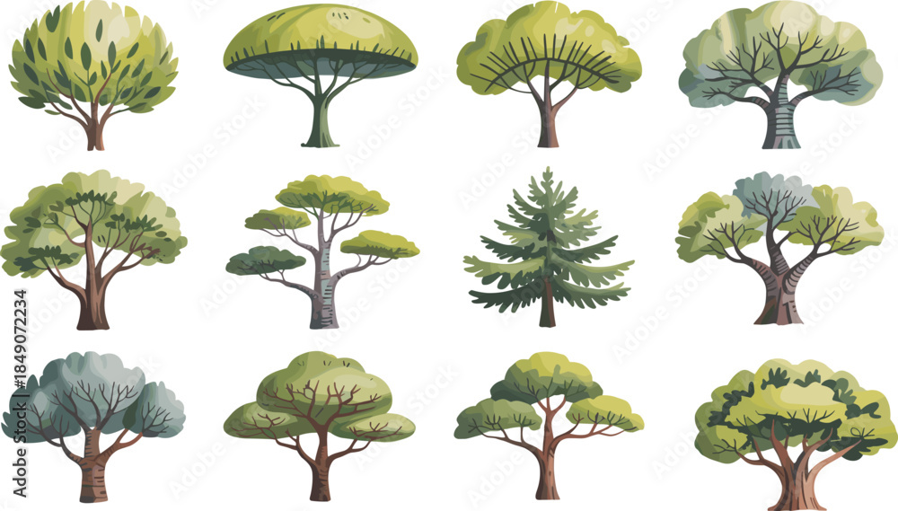 Fototapeta premium Cartoon tree vector set with diverse foliage and trunk styles for nature, landscape, and educational illustration themes.
