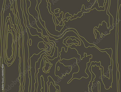 Wooden golden pattern isolated on black background. Wood grain texture. Dense lines. Abstract striped. Vector illustration