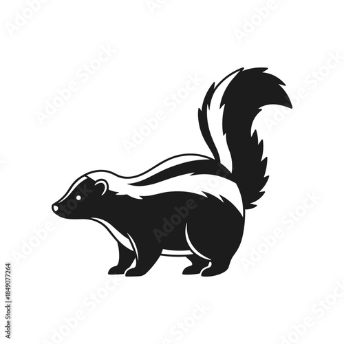 Black and white skunk illustration with fluffy tail.