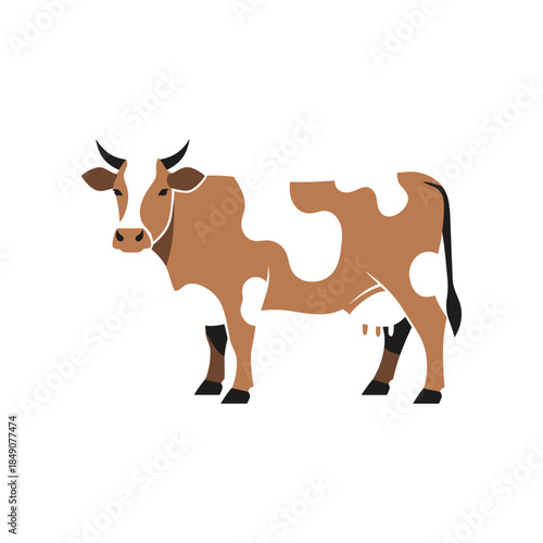 Brown and white cow standing in a field looking at the camera.