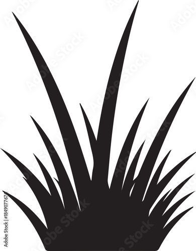 Black silhouette of sharp grass blades on white background nature