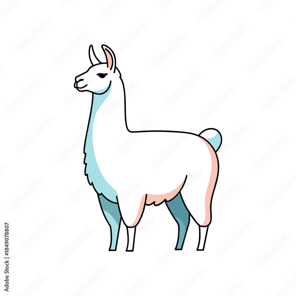 Obraz premium Cute White Llama Standing Tall with Gentle Expression.