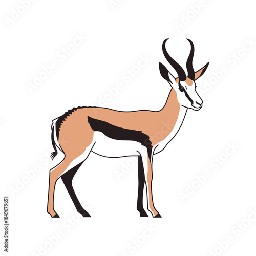 Graceful Springbok Antelope Standing Tall in Profile.