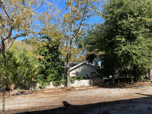A home in Florida behind a wall with green foliage on a beautiful blue sky day