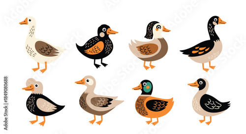 A charming collection of various cartoon ducks, geese, and ducklings with different colors and breeds isolated on a white background.
