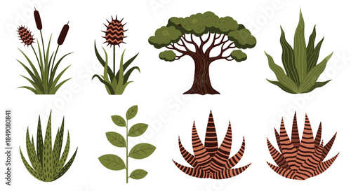 A collection of various African savanna plants and trees, including acacia, aloe, and cattails, isolated on a white background.