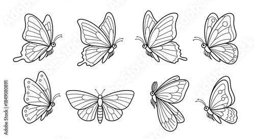 Black and white vector illustration of flying butterflies set on white background