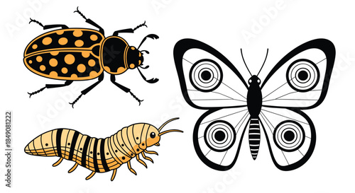 A collection of three insect illustrations, including a yellow spotted beetle, a striped caterpillar, and a black and white butterfly.
