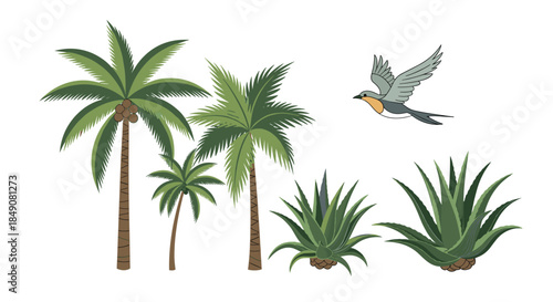 A set of tropical nature illustrations, including three different palm trees, two succulent plants, and a bird flying overhead.