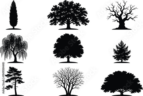 Black tree silhouettes collection, isolated forest tree shapes, nature design elements, deciduous and pine trees, botanical vector illustration set