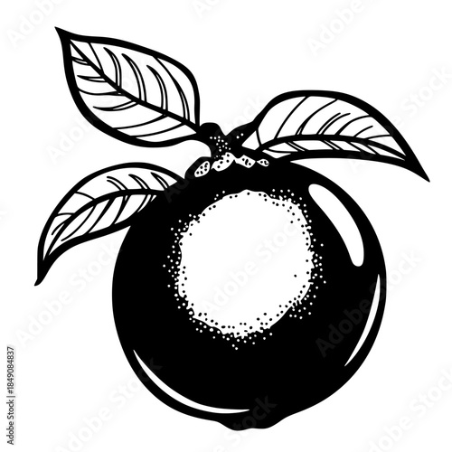 Mangosteen's Melodic Mystique | Clean, isolated vector art for creative projects.