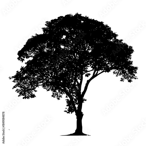Silhouette Lone Tree Black White | Clean, isolated vector art for creative projects.