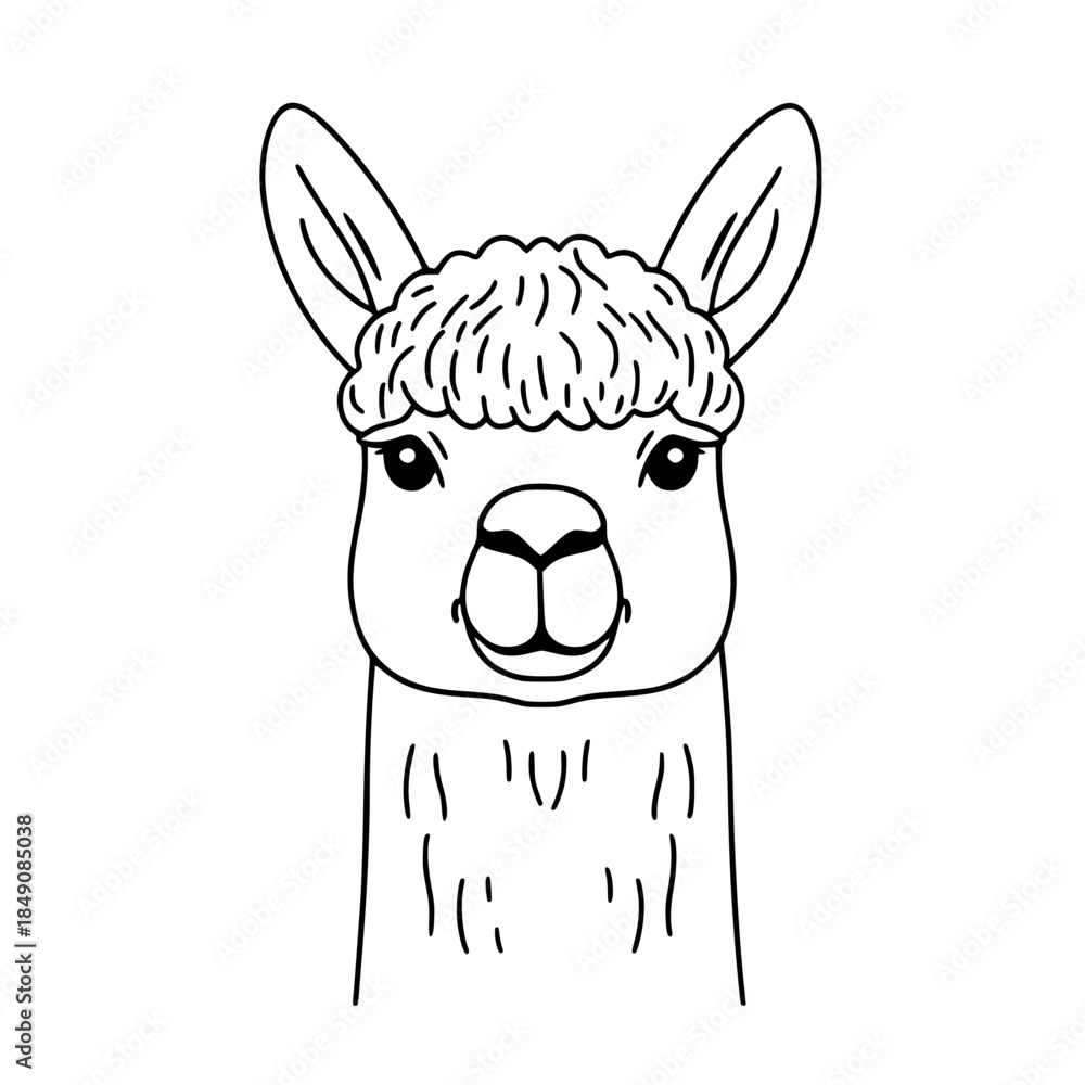 Obraz premium Woolly Alpaca's Sheared Serenity | Clean, isolated vector art for creative projects.