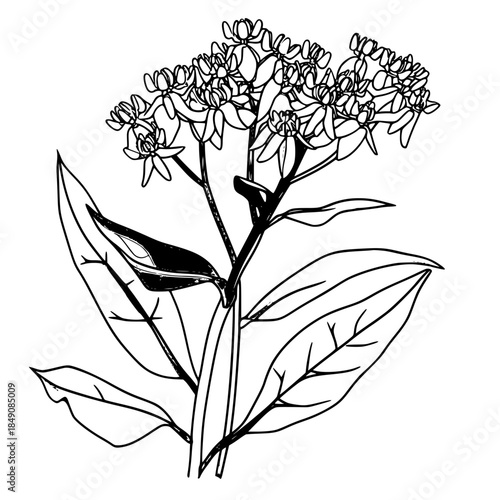 Silent Symphony Nature: Single Flower Blooms Solitude | Clean, isolated vector art for creative projects.