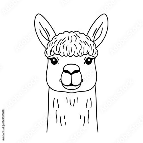 Woolly Alpaca's Sheared Serenity | Clean, isolated vector art for creative projects.