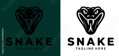 Snake Logo Design Concept Variations