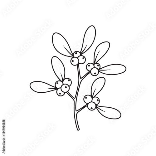 Minimalist Mistletoe Branch Line Art Drawing on White Background
