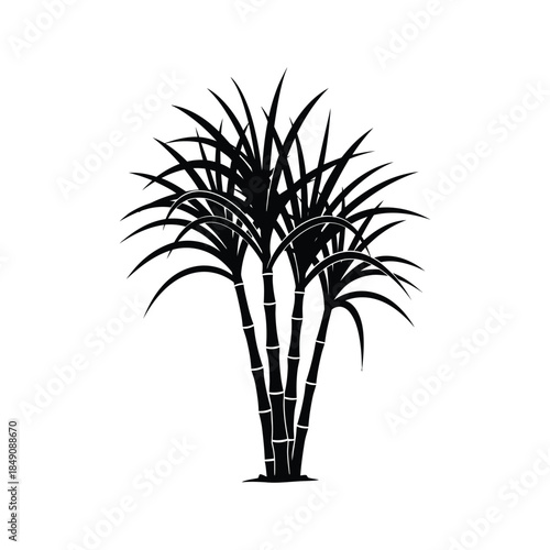 Sugar cane plant silhouette vector art illustration
