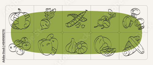 Hand-drawn contour illustrations of classic German cuisine vegetables: cabbage, peas, garlic, mushrooms, ideal for posters and design.