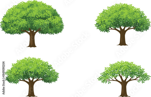 Green leafy tree illustrations set, realistic forest canopy foliage, summer nature elements, botanical vector collection isolated white background, design, graphics