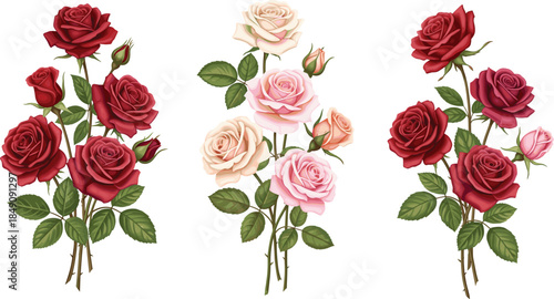 Set of three long stemmed rose bouquets with burgundy pink and red blossoms and green leaves vector illustration.
