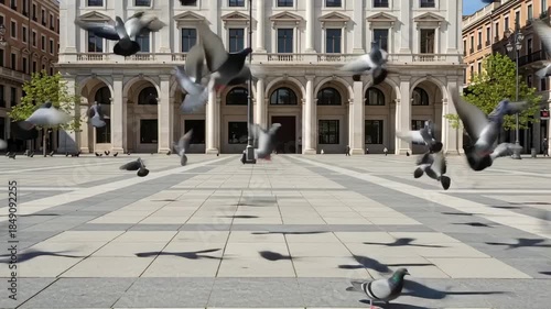 Urban birds taking flight from a grand city square with classical architecture