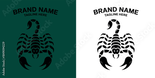 Scorpion Logo Design Template Brand Identity