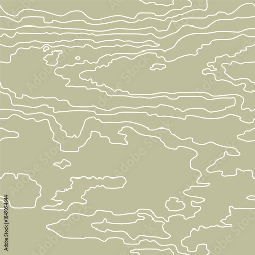 Seamless wooden pattern. De...