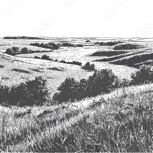 Canvas-taulu Black and white prairie landscape with rolling hills and trees