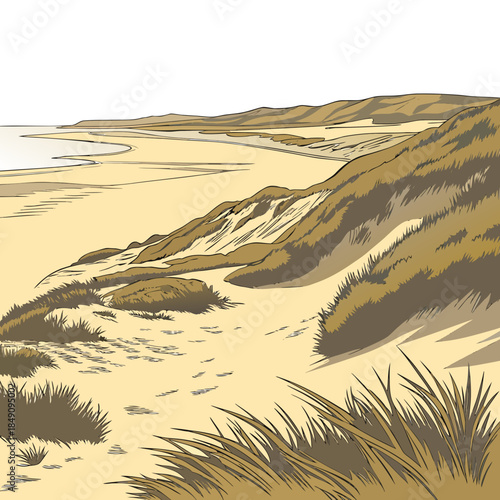 Coastal lowland with soft sand and grassy dunes