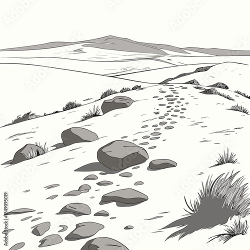 Desert land with scattered stone clusters and sparse grass