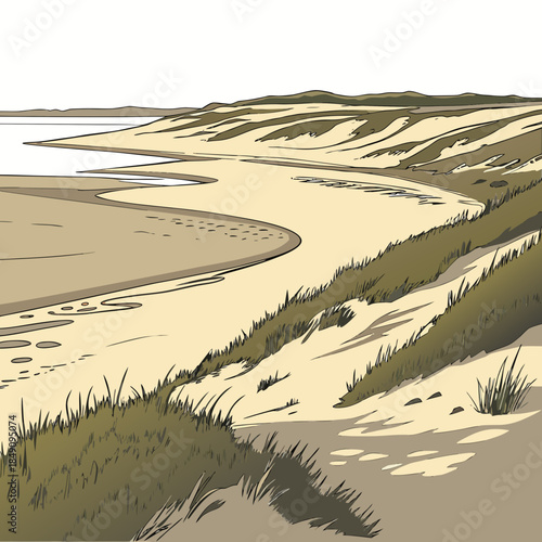 Coastal sand dunes with grassy slopes and shoreline