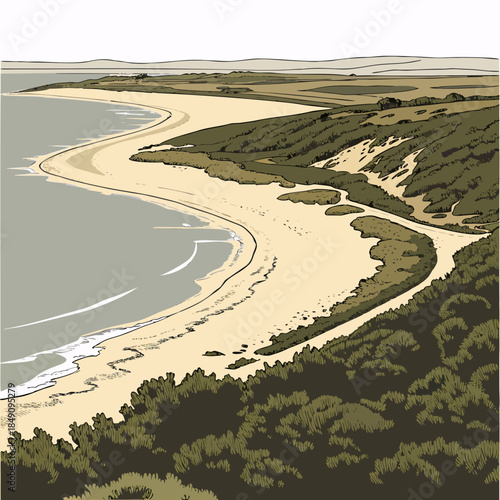 Aerial view of sandy coastal shoreline curve with green landscape