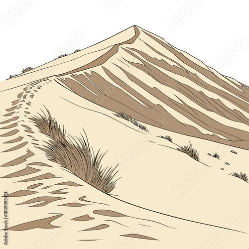 Desert hill with layered sand textures and sparse vegetation