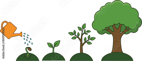 Tree growth stages illustration with watering can seed sprout sapling and mature tree concept for gardening nature education vector